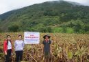 Hội nghị đánh giá Mô hình trồng dong riềng theo hướng VietGap tại Bình Lư, Tam Đường, Lai Châu