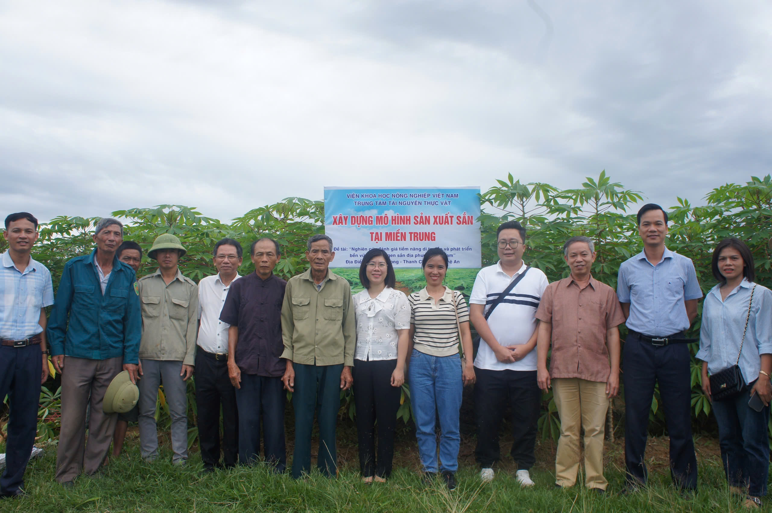 Mô hình sản xuất sắn tại miền Trung năm 2024