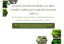 Đa dạng nguồn gen bí ngô, cải xanh H’Mông, chuối và khoai môn tại huyện Mai Sơn – Sơn La