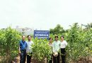 Thăm và đánh giá công tác bảo tồn nguồn gen cây dâu con tằm tại đơn vị phối hợp