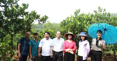 Kiểm tra đánh giá nguồn gen mít dai tại xã Đoài Phương, phường Tùng Thiện thành phố Hà Nội và xã Quảng Yên tỉnh Phú Thọ