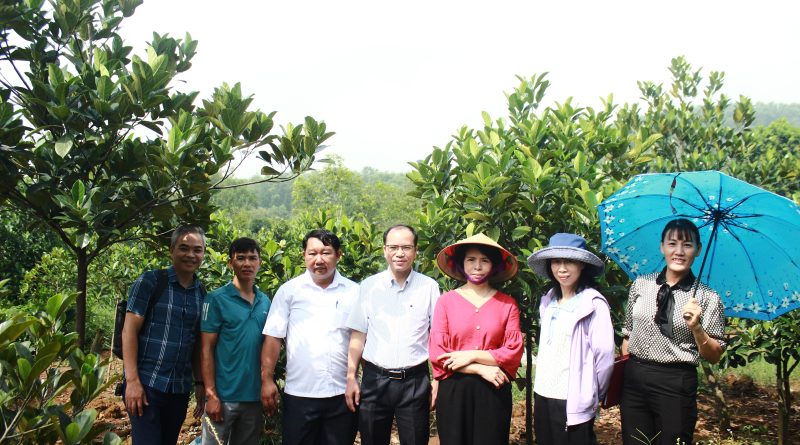 Kiểm tra đánh giá nguồn gen mít dai tại xã Đoài Phương, phường Tùng Thiện thành phố Hà Nội và xã Quảng Yên tỉnh Phú Thọ