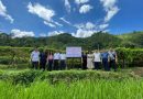 Kiểm tra, đánh giá mô hình sản xuất hạt giống và canh tác giống mướp đắng rừng Mắc kháy khau tại Thái Nguyên năm 2025