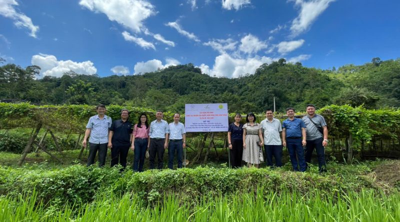 Kiểm tra, đánh giá mô hình sản xuất hạt giống và canh tác giống mướp đắng rừng Mắc kháy khau tại Thái Nguyên năm 2025