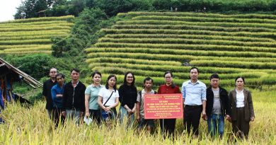 <strong>Hội nghị đánh giá mô hình trình diễn canh tác lúa thương phẩm </strong><strong>giống lúa Tẻ Mèo Bắc Dào San tại tỉnh Lai Châu</strong>