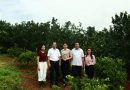 Thăm và đánh giá công tác bảo tồn nguồn gen cây ăn qủa tại đơn vị phối hợp