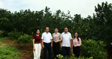 Thăm và đánh giá công tác bảo tồn nguồn gen cây ăn qủa tại đơn vị phối hợp