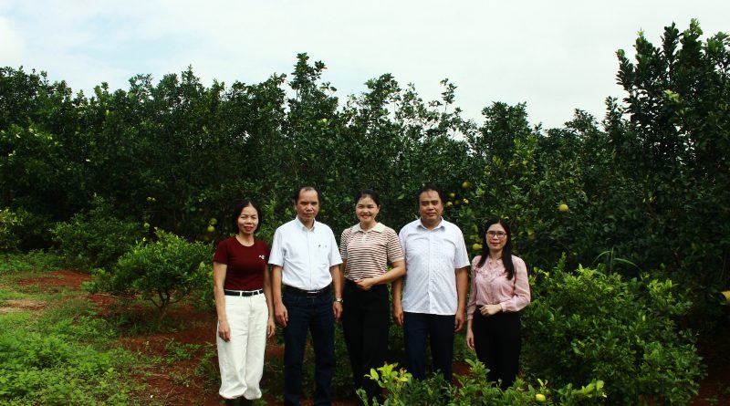 Thăm và đánh giá công tác bảo tồn nguồn gen cây ăn qủa tại đơn vị phối hợp