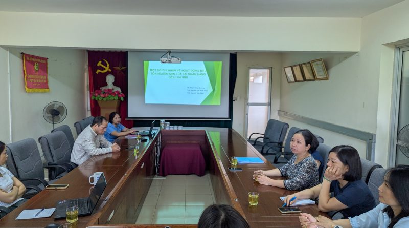 Sinh hoạt học thuật bảo tồn nguồn gen lúa tại ngân hàng gen irri